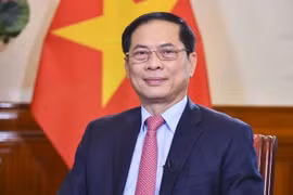 越南政府副总理兼外交部长裴青山。图自越通社