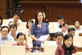 国会代表向越南信息传媒部部长阮孟雄提出了一系列与数字基础设施管理和发展相关的问题。图自越通社