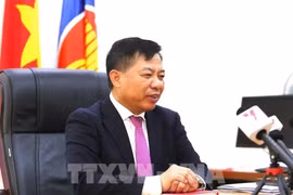 越南驻柬埔寨大使阮辉曾。图自越通社