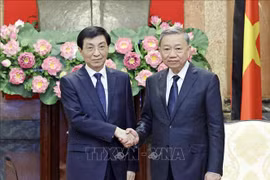 国家主席苏林会见中国全国政协主席王沪宁。图自越通社