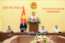 国会常务副主席陈青敏发表讲话。图自越通社