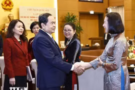 国会主席陈青敏会见越南驻外大使和代表机构首席代表。图自越通社
