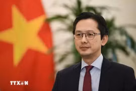外交部副部长杜雄越：国家主席苏林访问老挝和柬埔寨之旅具有巨大意义