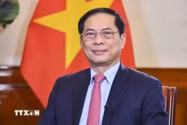 越南外交部长裴青山。图自越通社