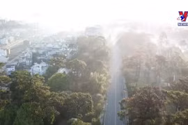 胡志明市和大叻市成为国庆节热搜旅游目的地