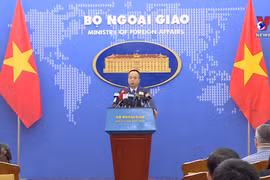 外交部记者会：反对一切侵犯越南对黄沙群岛主权的行为