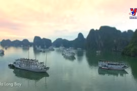 广宁省富豪旅游线路为游客带来独特体验