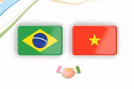 越南—巴西全面伙伴关系