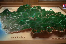 越南首个省级生物多样性博物馆揭牌