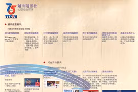 图表新闻：越通社——大型的综合媒体