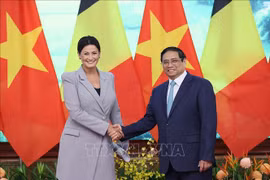 越南政府总理范明政会见比利时参议院议长斯蒂芬妮