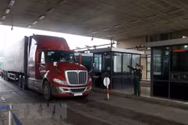 越南政府总理阮春福：在加强疫情防控工作的同时化解企业进出口活动和跨境运输难题