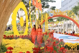 附图：2015年胡志明市春节花市（图片来源：越通社）