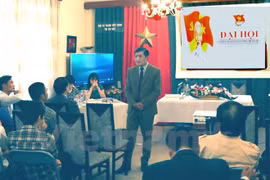 越南胡志明共青团捷克共青团组织代表大会