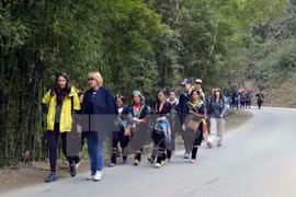附图：国际游客在沙巴观光旅游