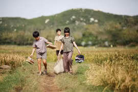 电影《我看见绿色草地上是金色花朵》