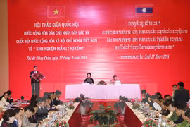 越南国会主席阮氏金银在研讨会上发表讲话