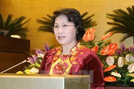 越南国会主席阮氏金银