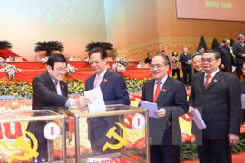 越南党国家领导进行投票选举越共十二届中央委员会委员（图片来源：越通社）