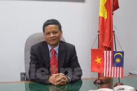 阮洪滔大使（图片来源：越通社）