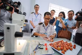 向澳大利亚等高端市场出口的越南荔枝要经过严格的检验检疫程序