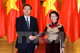 越南国会主席阮氏金银与中国全国人民代表大会常务委员会委员长张德江
