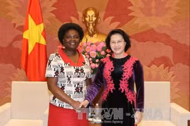 越南国会主席阮氏金银与世行驻越首席代表维多利亚·克瓦