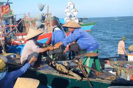 广治省越门海岸渔民（图片来源：越南新报）