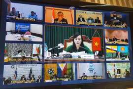 东盟各国就应对寨卡病毒召开视频会议