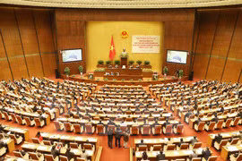 会议全景（图片来源：越通社）