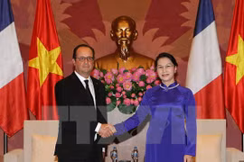 越南国会主席阮氏金银法国总统弗朗索瓦·奥朗德