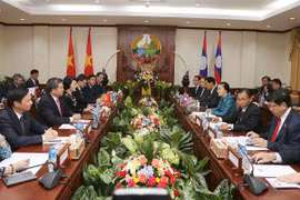 越南国会主席阮氏金银同老挝国会主席巴妮•雅陶都举行会谈