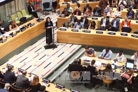 国家副主席邓氏玉盛出席7月份召开的高级别会议并发表主旨演讲。