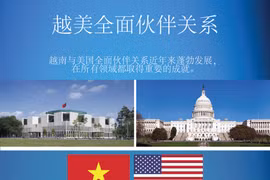 图表新闻：越美全面伙伴关系