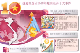 图表新闻：2018年越南经济十大事件盘点