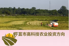 图表新闻：芹苴市高科技农业投资方向