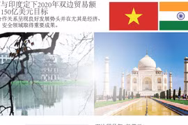 图表新闻：越南与印度定下2020年双边贸易额达到150亿美元目标