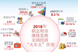 图表新闻：2018年胡志明市继续发挥全国经济“火车头”作用