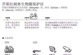 图表新闻：芹耶红树林生物圈保护区