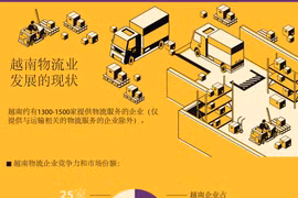 图表新闻：越南物流业发展的现状