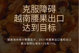 图表新闻：克服障碍 越南腰果出口达到目标