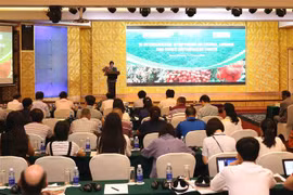 越南学习借鉴龙眼与荔枝生产国际经验