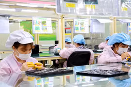 北江省为推动职业教育加快动员社会资金