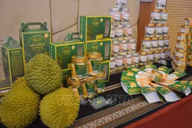 确立品牌定位 提高九龙江三角洲特色产品价值