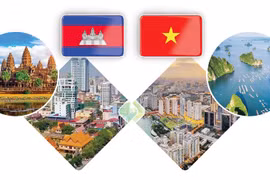 柬埔寨国王诺罗敦·西哈莫尼对越南进行国事访问