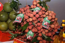 北江省陆岸县的荔枝产品已获国家地理标志保护。图自越通社