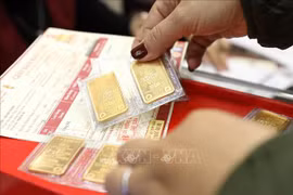 附图。图自越通社