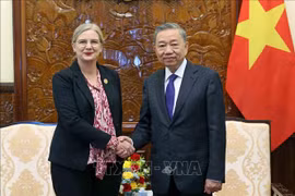 越南国家主席苏林与瑞典驻越南特命全权大使安·马威。图自越通社
