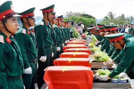 附图。图自baochinhphu.vn