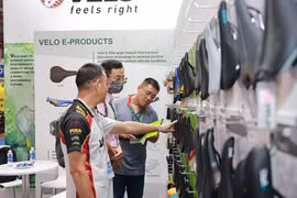 附图。图自越通社